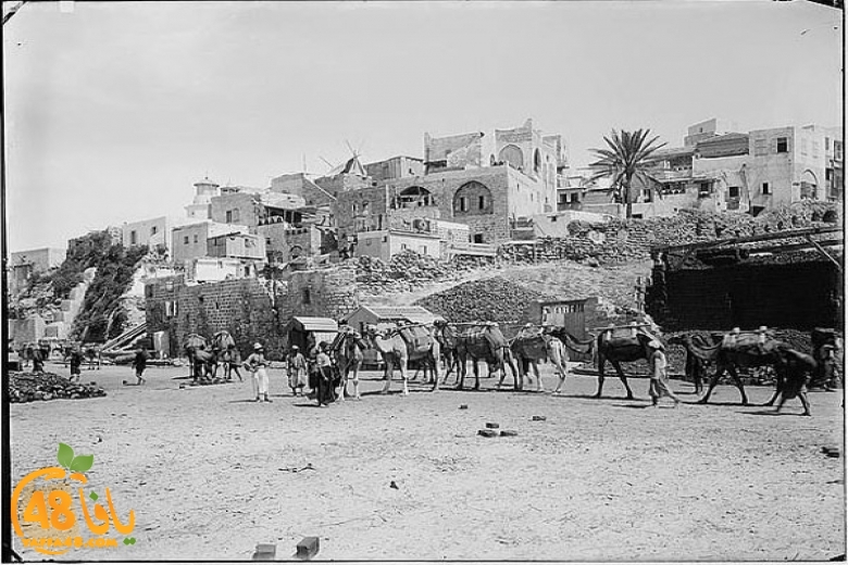 780-520000old yaffa 3j3 (1).jpg.jpg.jpg